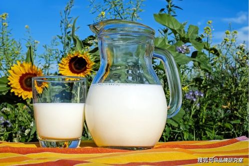 前景无限 乳制品行业四大趋势深度解析