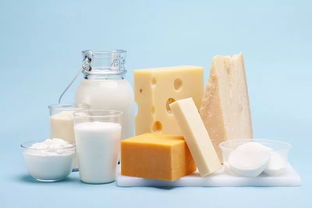 中国乳业升级改造的方向与重点——访中乳协原理事长宋昆冈