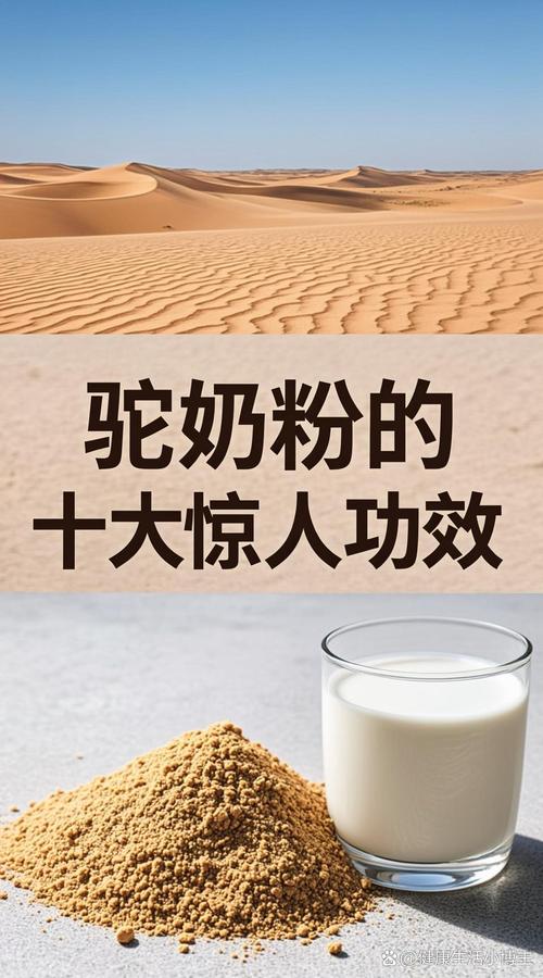 驼奶粉的十大功效  驼奶粉作为一种营养价值较高的乳制品,其核心优势